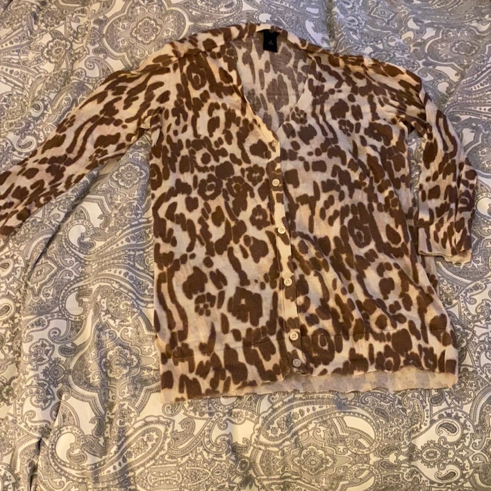 Ann Taylor Lightweight Sweater
